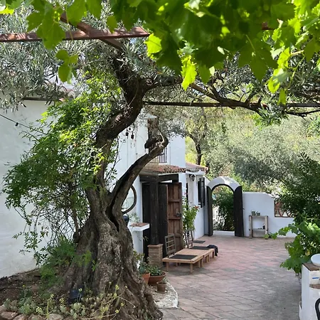 Charmante Casita Met Veranda En Prive Zwembad Op Een Kleinschalige Finca Holiday home Colmenar