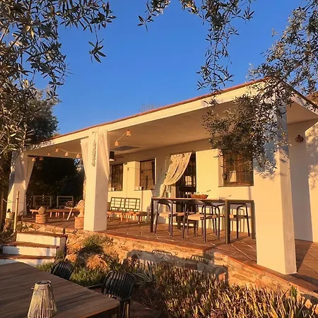 Charmante Casita Met Veranda En Prive Zwembad Op Een Kleinschalige Finca Holiday home Colmenar